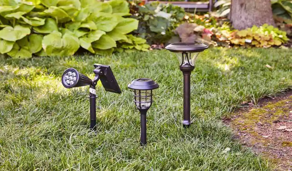 The Illuminating Connection: Why People Want to Have a Garden with Solar Lights