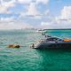 Top 8 Tips for Miami Beach Boat Hire