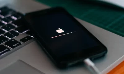 Troubleshooting an iPhone Stuck on the Apple Logo