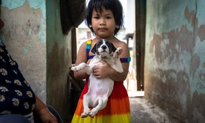 UN Recognizes Protection from Violence Against Animals as Part of Child Rights