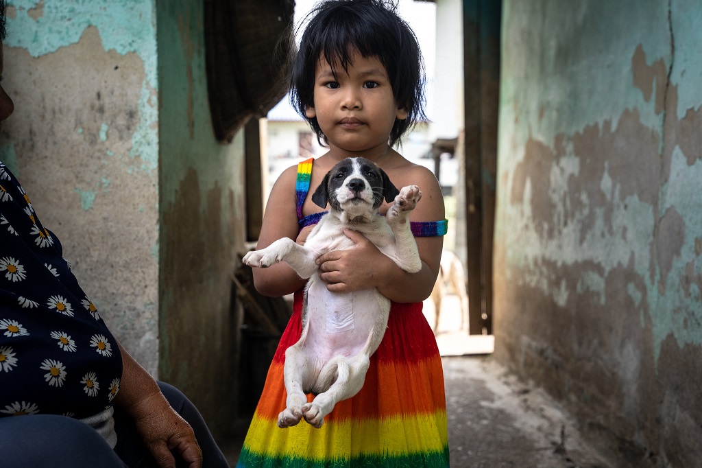 UN Recognizes Protection from Violence Against Animals as Part of Child Rights