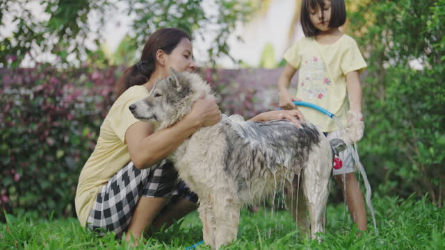 children animals thailand