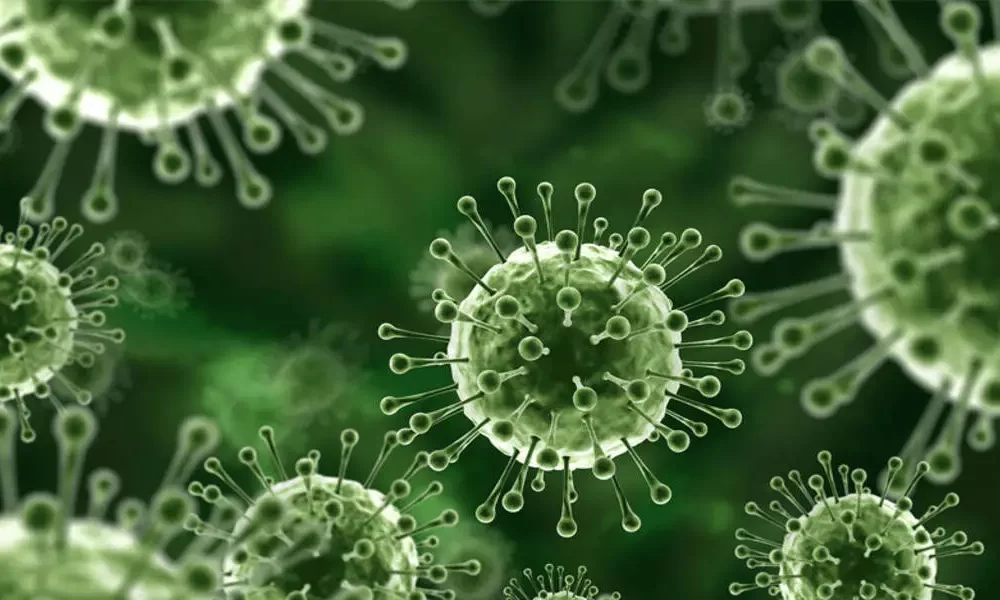 Nipah Virus Can Blast Up To 74% Of Sufferers In Punjab
