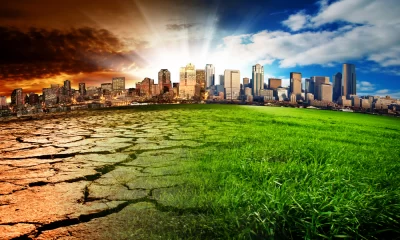 Climate Change Could Catastrophically Harm Human Health