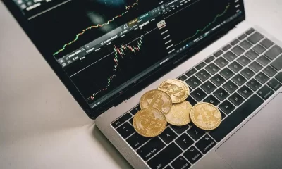Crypto Software Providers: Fueling the Crypto Revolution