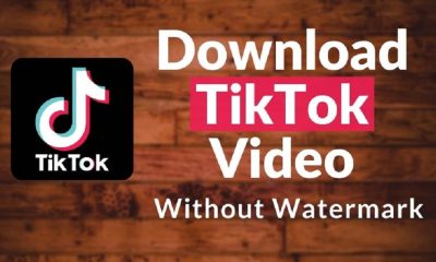 Download TikTok Videos Easily