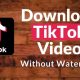 Download TikTok Videos Easily