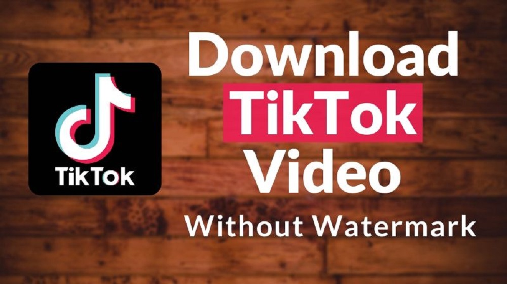 Download TikTok Videos Easily