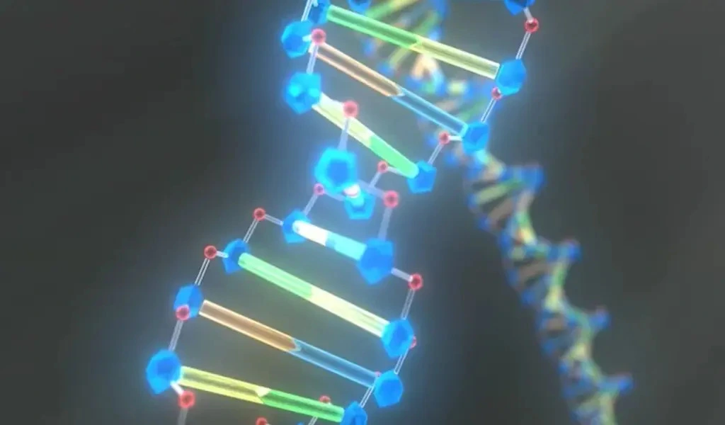 Genetic Materials in Cells: Definition and Description