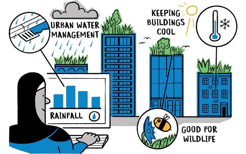 Green and Blue Roof Systems Combating Climate Change