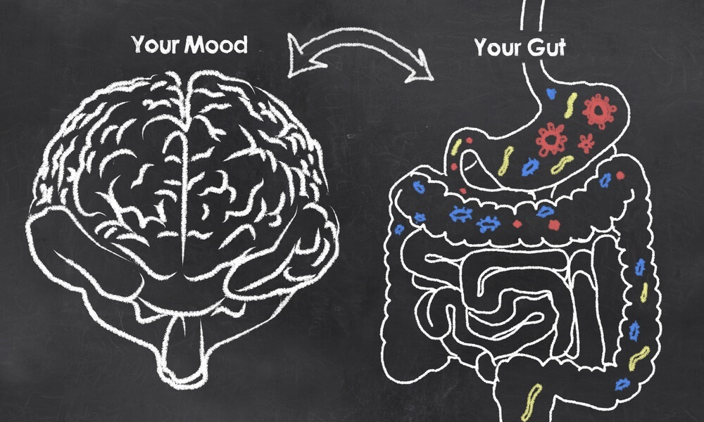 The mind and Gut Care