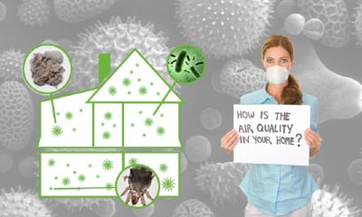 Top 10 Ways to Improve Air Quality Indoor