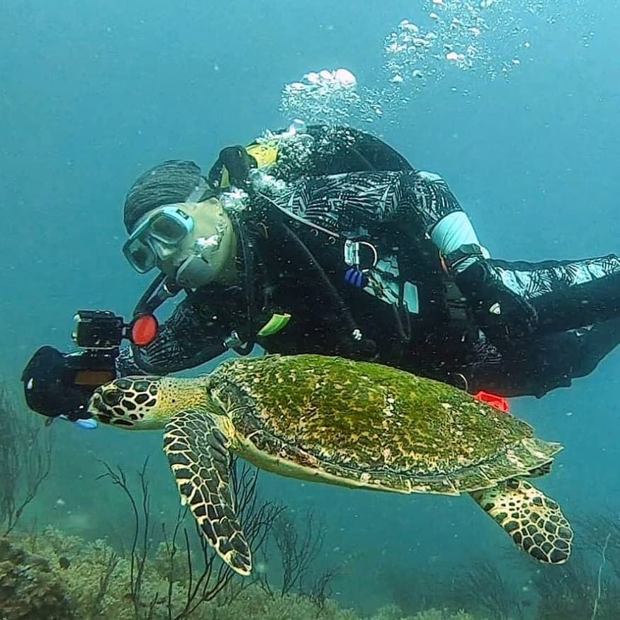 Beneath Bali's Surface: A Scuba Diving Odyssey