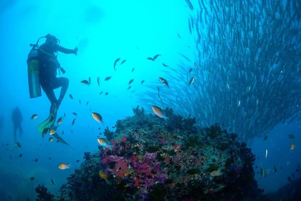 The 5 Finest Diving Places in Koh Samui