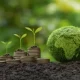 The Importance of Efficiency in Finance: Paving the Way for Sustainable Growth