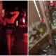 Watch Halloween Rave Party Raided At Bungalow In Karachi, Several Drunk Kids Held