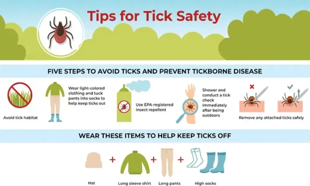 First Powassan Virus Loss of life Reported In Maryland