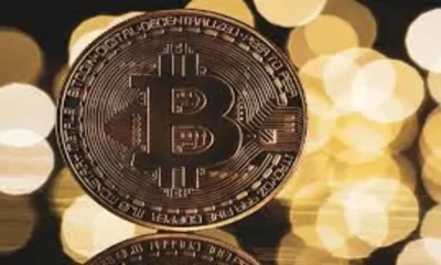 Bitcoin Bull Run: When Will It Begin? - ChatGPT