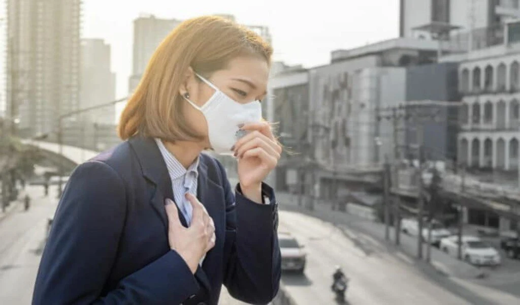 Pollution, Breast Cancer Risk, And Political Action Needed