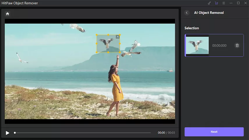 How to Remove Object from Video Using AI