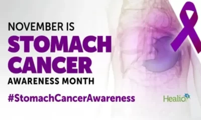 Stomach Cancer Awareness Month Is Recognized Worldwide Through 'The Power Of Periwinkle'