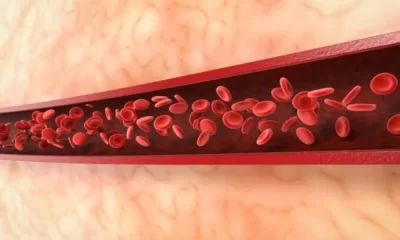 Discovery Of Epidermal Hemoglobin Reveals Skin's Protective Abilities