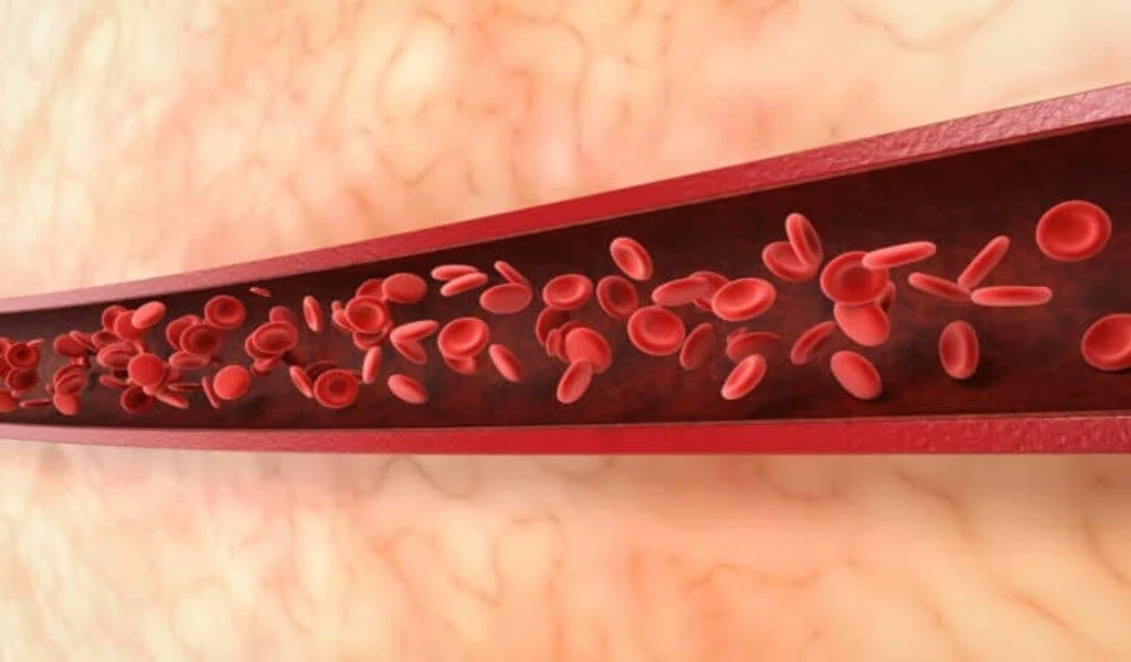 Discovery Of Epidermal Hemoglobin Reveals Skin's Protective Abilities