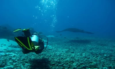 Exploring the Depths: Komodo Dive Center's Underwater Adventure