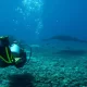 Exploring the Depths: Komodo Dive Center's Underwater Adventure