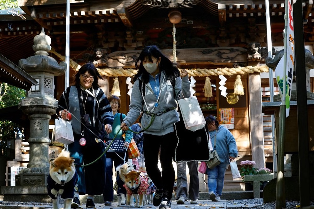 Japan's Shichi-Go-San Ritual for Children Now Preformed for Pets