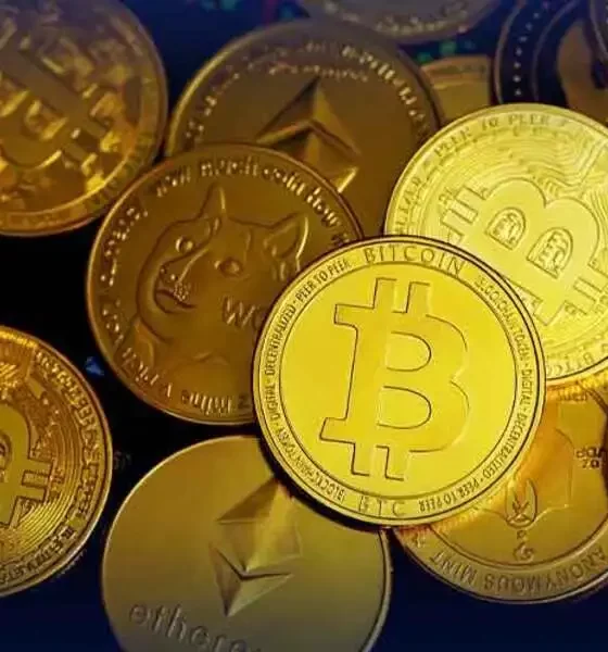 Navigating the Crypto Wave: Hosting Providers Embrace Digital Currency
