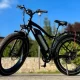 The Ultimate Guide to Finding the Best Electric Fat Tire Bike in Canada and Black Friday Sales