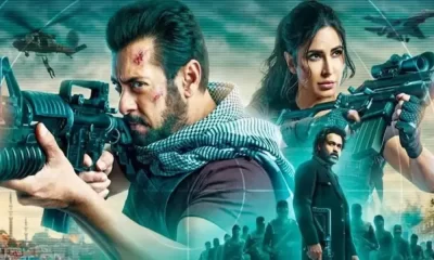 Tiger 3 Box Office Roars with ₹146 Crore Collection in 3 Days