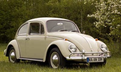 6 Things You Didn't Know About the Iconic White Volkswagen Beetle