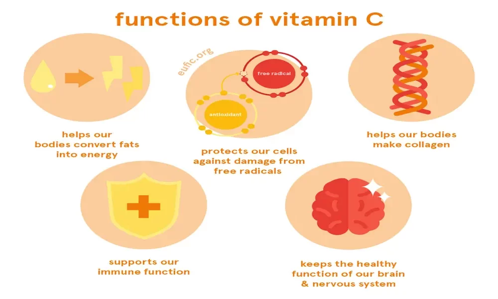 What Does Vitamin C Do For Us? CTN News