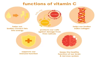 What Does Vitamin C Do For Us?