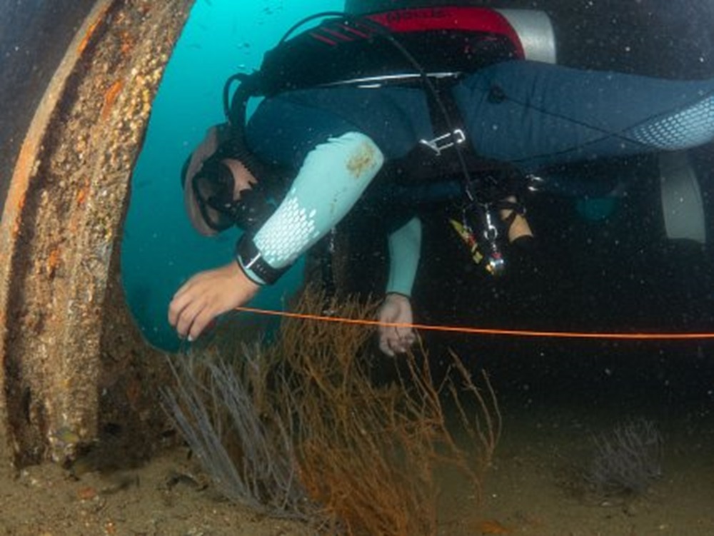 Koh Tao Wrecks Delving into the Depths of History