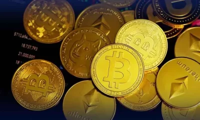 Altcoins Mirror Bitcoin's Turbulent Conditions Despite a Modest Downturn