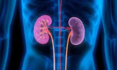 With An Inexpensive Pill, Kidney Disease-Related Deaths Could Be Reduced