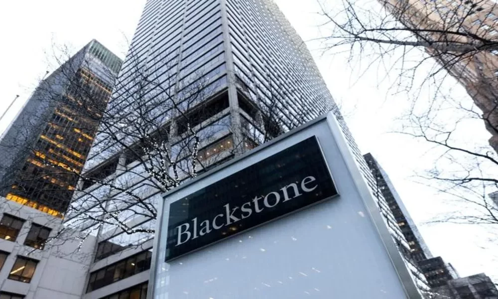 Blackstone Buys Puppy Assist App Rover For .3B In Money Trade in.