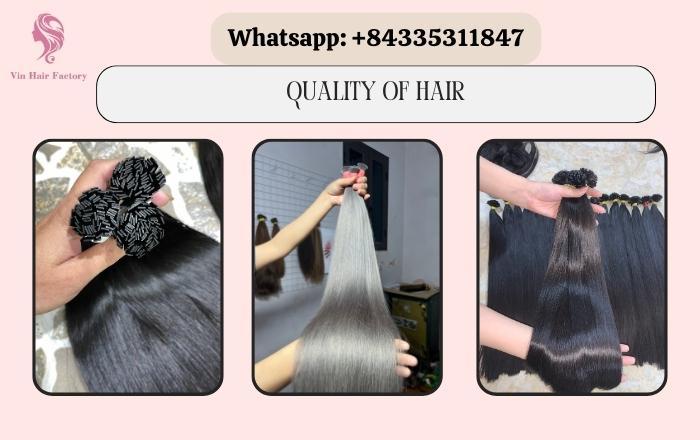 Premium Hair Extensions