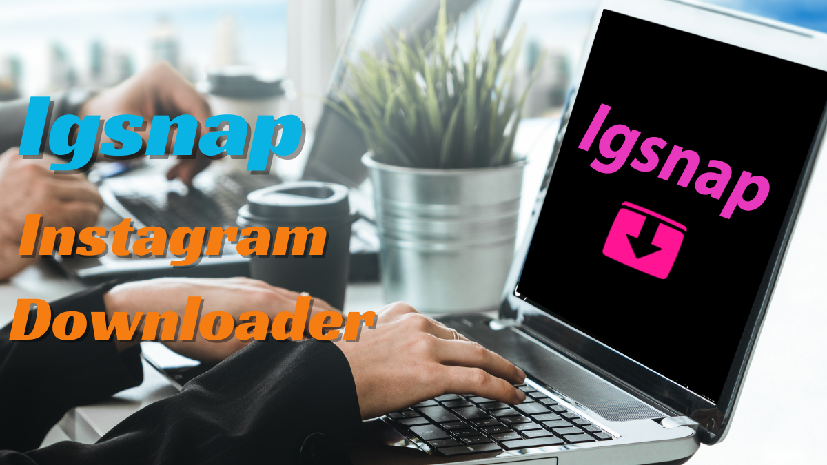 Navigating the Digital Landscape: Igsnap as a Pioneering Tool in Instagram Content Management