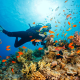 Beneath Bali's Surface: A Scuba Diving Odyssey