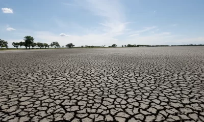 2024 Could be the Hottest Year in Recorded History