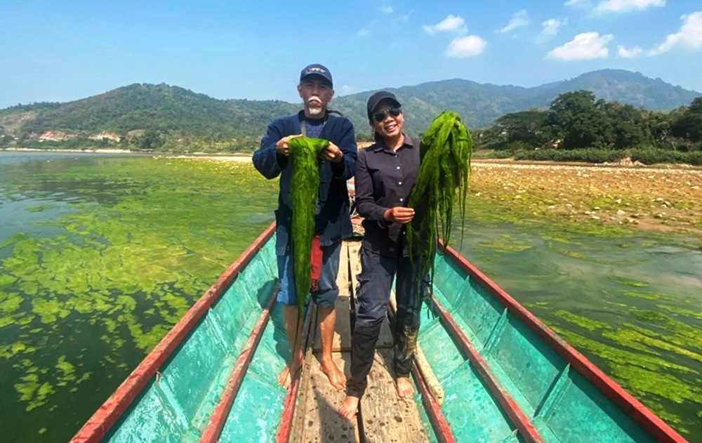 Gai Harvesting Mekong River