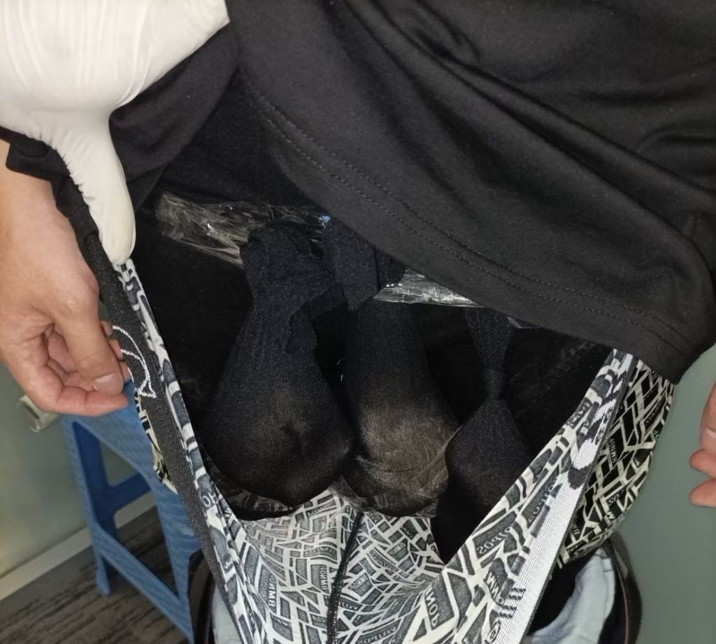 Passenger Caught Smuggling Otters in His Underwear