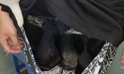 Passenger Caught Smuggling Otters in His Underwear at Bangkok airport