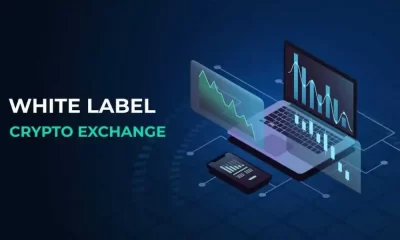Choosing the Best White Label Crypto Solutions
