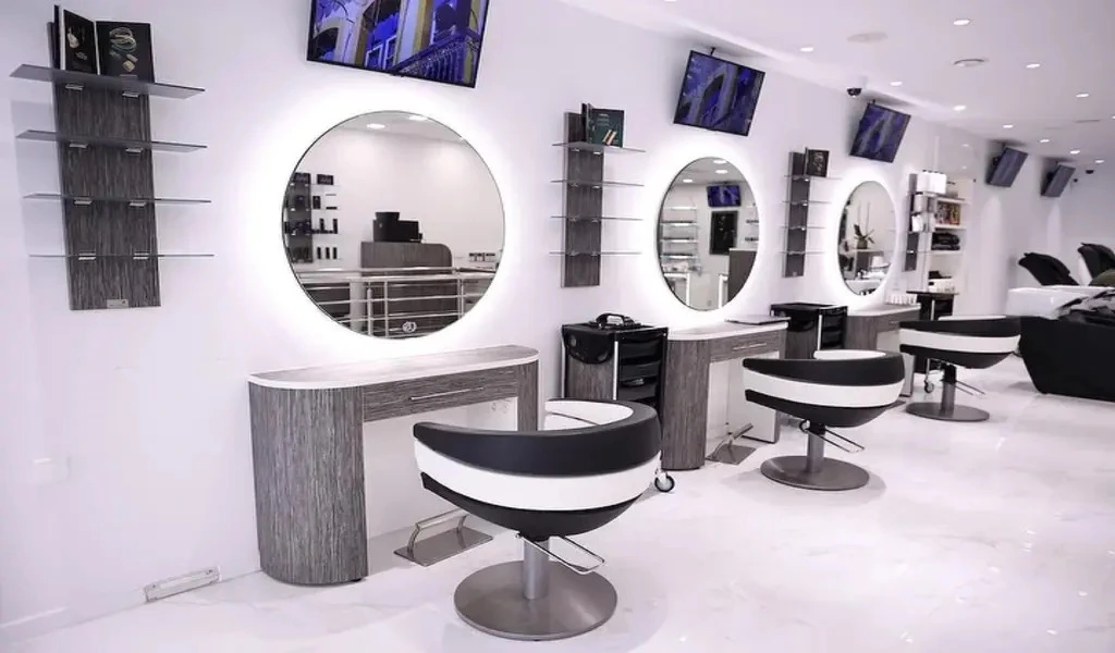 Cultural Charms: Aesthetic Marvels in Brussels Salons