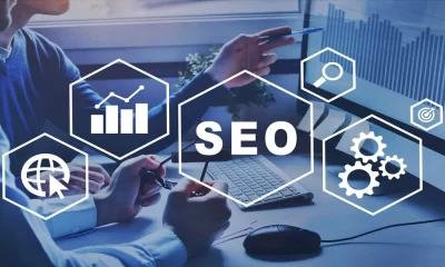 SEO Strategy, Domain Name Search Strategies: Elevating SEO Success for Visible Websites